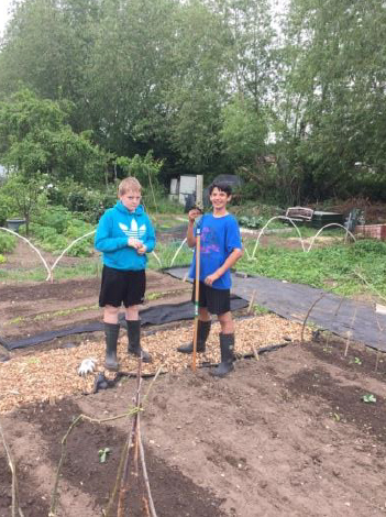 Boys working on an allotment